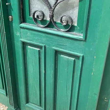 Laurus فيلة *